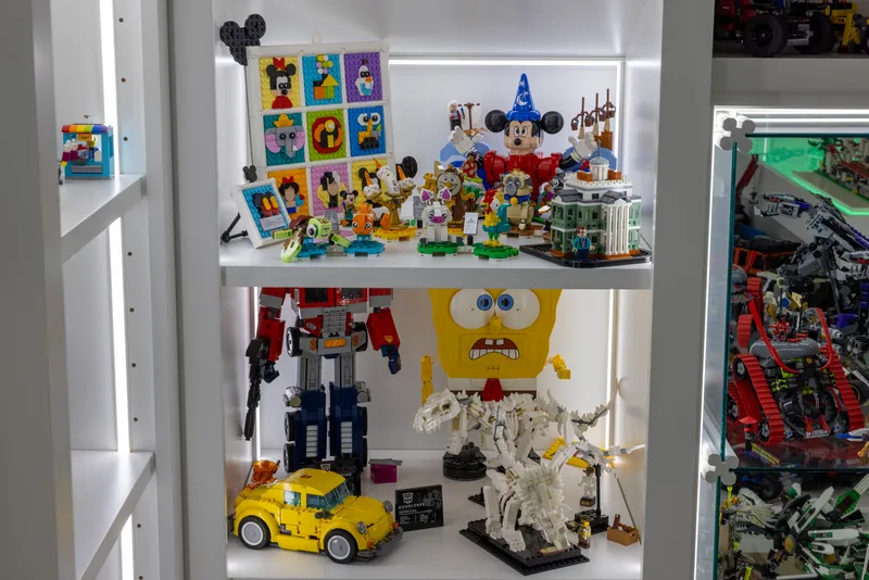 Collection photograph 42